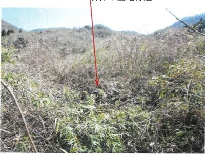 岡山県岡山市南区 備前片岡駅16分 土地 115万円の競売物件情報 #15