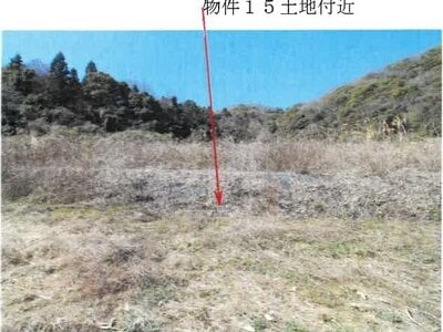 岡山県岡山市南区 備前片岡駅16分 土地 115万円の競売物件情報 #5