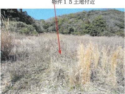 岡山県岡山市南区 備前片岡駅16分 土地 115万円の競売物件情報 #8