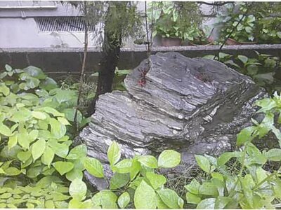 山形県鶴岡市 鶴岡駅21分 戸建て 753万円の競売物件情報 #5