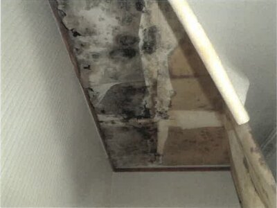 徳島県徳島市 鮎喰駅8分 戸建て 543万円の競売物件情報 #29