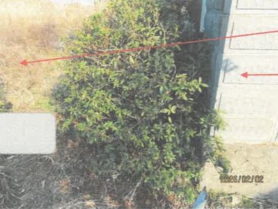 徳島県板野郡松茂町 教会前駅28分 戸建て 330万円の競売物件情報 #34