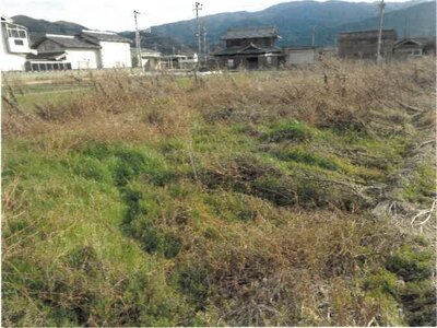徳島県吉野川市 阿波山川駅7分 農地 18万円の競売物件情報 #2