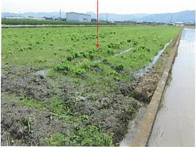 熊本県八代市 有佐駅 農地 103万円の競売物件情報 #4