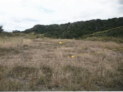 鹿児島県大島郡天城町 土地 1,002万円の競売物件情報 #11