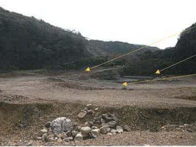 鹿児島県大島郡天城町 土地 1,002万円の競売物件情報 #7