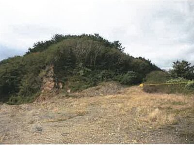 鹿児島県大島郡天城町 土地 1,002万円の競売物件情報 #8