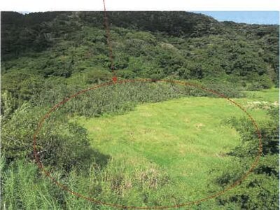鹿児島県奄美市 農地 9万円の競売物件情報 #1