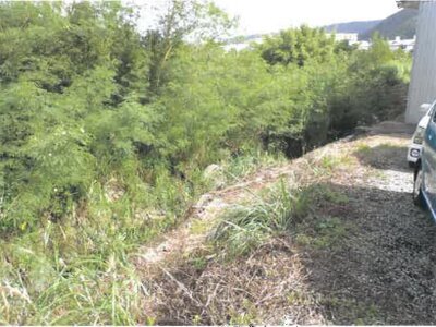 鹿児島県奄美市 農地 9万円の競売物件情報 #3