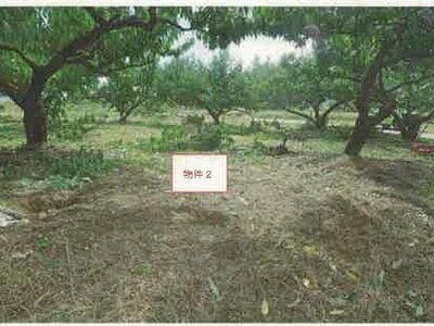 山梨県南アルプス市 小井川駅 農地 55万円の競売物件情報 #10