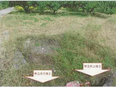山梨県南アルプス市 小井川駅 農地 55万円の競売物件情報 #2