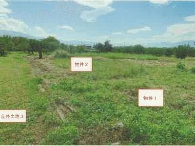 山梨県笛吹市 石和温泉駅 農地 114万円の競売物件情報 #1