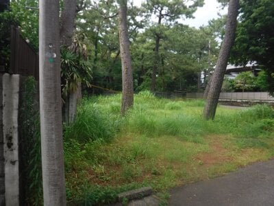 (値下げ) 静岡県沼津市 沼津駅25分 土地 1,289万円の官公庁公売物件情報 #2