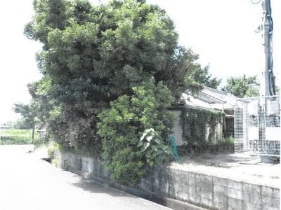 (値下げ) 鹿児島県鹿屋市 戸建て 78万円の競売物件情報 #15