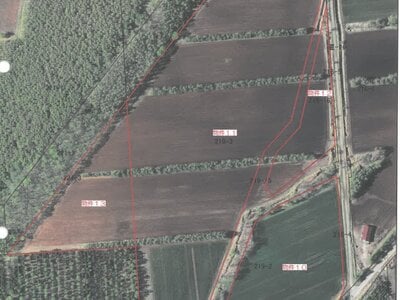 北海道斜里郡斜里町 農地 614万円の競売物件情報 #8