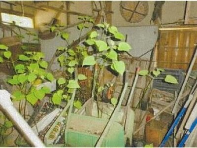 愛媛県松山市 柳原駅12分 戸建て 508万円の競売物件情報 #27