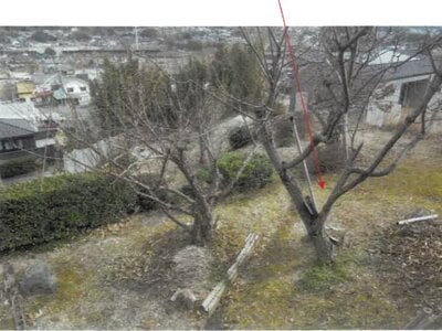 愛知県瀬戸市 中水野駅5分 農地 70万円の競売物件情報 #4