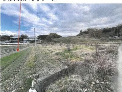 (値下げ) 香川県綾歌郡綾川町 羽床駅23分 農地 101万円の競売物件情報 #6