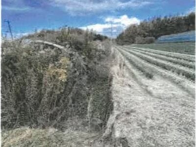 (値下げ) 香川県綾歌郡綾川町 羽床駅23分 農地 99万円の競売物件情報 #3
