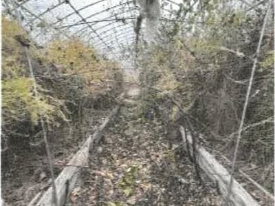 (値下げ) 香川県綾歌郡綾川町 羽床駅23分 農地 99万円の競売物件情報 #7