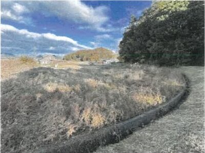 (値下げ) 香川県綾歌郡綾川町 羽床駅19分 農地 45万円の競売物件情報 #1
