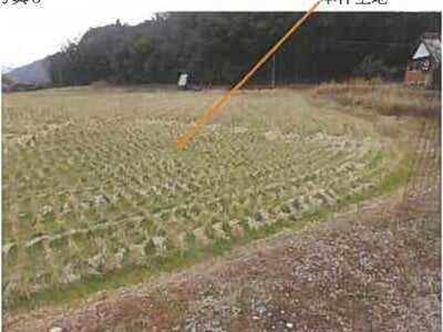 広島県竹原市 白市駅 農地 123万円の競売物件情報 #3