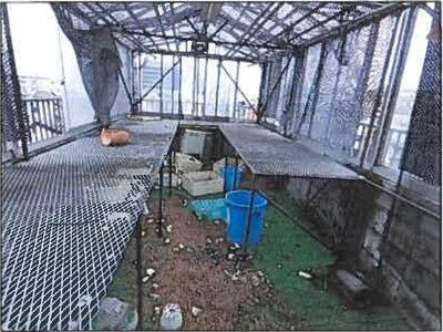 広島県三原市 三原駅5分 戸建て 870万円の競売物件情報 #45