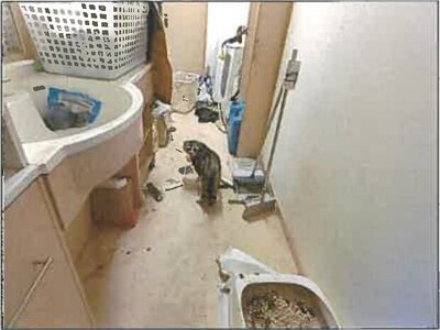 広島県世羅郡世羅町 備後三川駅 戸建て 455万円の競売物件情報 #22