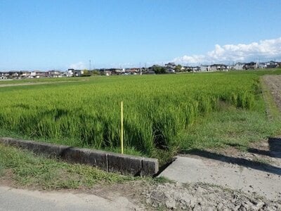 (値下げ) 三重県松阪市 松阪駅 農地 17万円の国税庁公売物件情報 #1