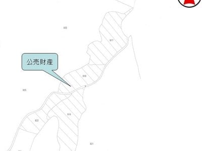 三重県度会郡大紀町 川添駅26分 農地 36万円の国税庁公売物件情報 #3