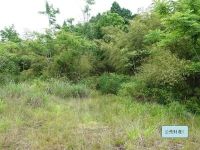 岐阜県土岐市 瑞浪駅 農地 511万円の国税庁公売物件情報 #1