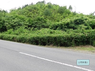 岐阜県土岐市 瑞浪駅 農地 511万円の国税庁公売物件情報 #2