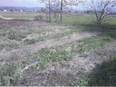 山形県東置賜郡川西町 羽前小松駅 戸建て 588万円の競売物件情報 #6