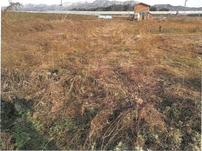 山形県新庄市 泉田駅 農地 76万円の競売物件情報 #3