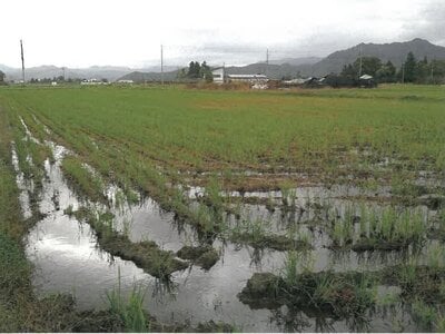 山形県東置賜郡高畠町 高畠駅27分 農地 194万円の競売物件情報 #2