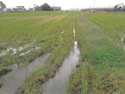 山形県東置賜郡高畠町 高畠駅27分 農地 194万円の競売物件情報 #3