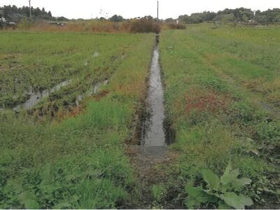 山形県東置賜郡高畠町 高畠駅27分 農地 194万円の競売物件情報 #4
