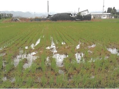 山形県東置賜郡高畠町 高畠駅27分 農地 194万円の競売物件情報 #5