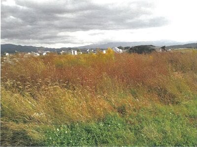 山形県東置賜郡高畠町 高畠駅27分 農地 194万円の競売物件情報 #6