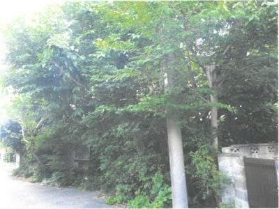 埼玉県さいたま市岩槻区 岩槻駅13分 戸建て 999万円の競売物件情報 #2