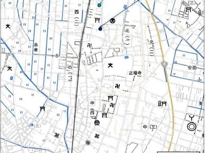 埼玉県幸手市 幸手駅16分 マンション 50万円の競売物件情報 #8