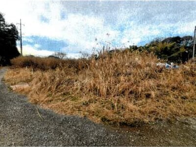 (値下げ) 埼玉県桶川市 桶川駅 農地 31万円の競売物件情報 #10