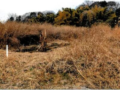 (値下げ) 埼玉県桶川市 桶川駅 農地 31万円の競売物件情報 #11