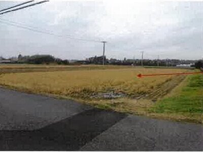 千葉県山武市 成東駅 農地 340万円の競売物件情報 #4
