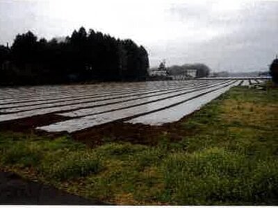 千葉県富里市 八街駅 農地 126万円の競売物件情報 #1