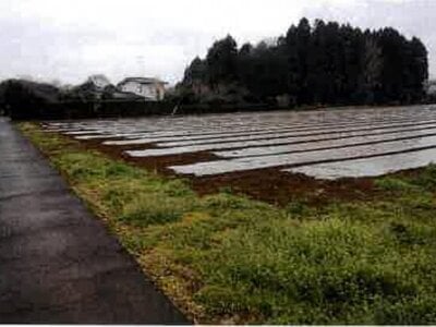 千葉県富里市 八街駅 農地 126万円の競売物件情報 #3
