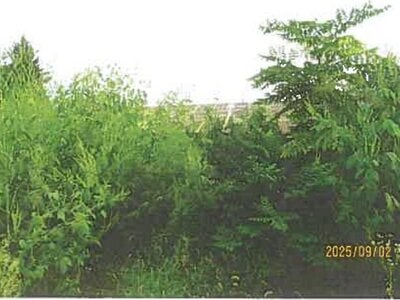 (値下げ) 長野県諏訪郡富士見町 富士見駅6分 戸建て 25万円の競売物件情報 #13
