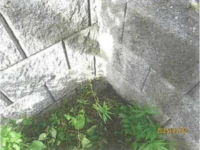 (値下げ) 長野県諏訪郡富士見町 富士見駅6分 戸建て 25万円の競売物件情報 #5
