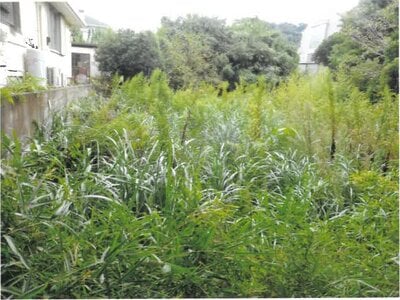 (値下げ) 神奈川県三浦郡葉山町 逗子・葉山駅 土地 626万円の競売物件情報 #2