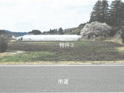 栃木県さくら市 鴻野山駅 農地 41万円の競売物件情報 #4